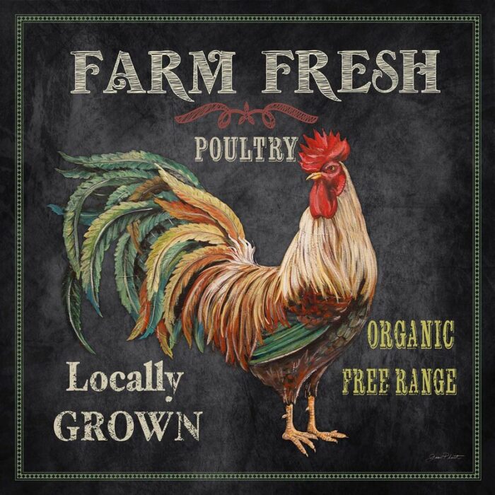 Jean ” Farm Fresh Rooster ” by Jean Plout - Chic Decora