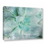 Jeanetta ” Teal Succulent 2 ” by Irena Orlov - Chic Decora