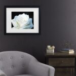 Kurt Shaffer ” White Rose II ” by Kurt Shaffer - Chic Decora