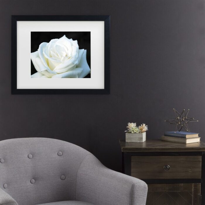 Kurt Shaffer ” White Rose II ” by Kurt Shaffer - Chic Decora