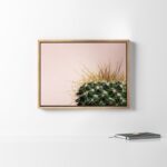 Macri ” Sylvie Cactus ” by F2Images - Chic Decora