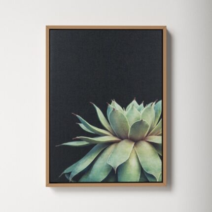 Macri Succulent 8 by Emiko and Mark Franzen of F2Images Print on Canvas - Chic Decora