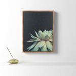 Macri Succulent 8 by Emiko and Mark Franzen of F2Images Print on Canvas - Chic Decora