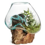 Manolla Handmade Abstract Cloche Or Water Globe - Chic Decora