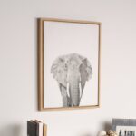 Manton ” Elephant Black And White Portrait ” by Simon Te Tai - Chic Decora