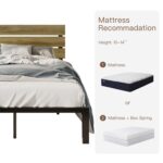 Martese Metal Platform Bed - Chic Decora