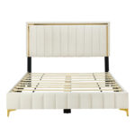 Memarie Velvet Queen Upholstered Platform Bed with Gold Legs and Gold Trim - Chic Decora