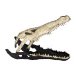 Metal, 16″, Alligator Skull, Gold and Black, Novelty, 16″H, Textured – 21.0″ x 10.0″ x 16.0″ - Chic Decora