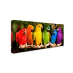 Mike Jones ” Rainbow Parrots ” by Mike Jones Photo - Chic Decora