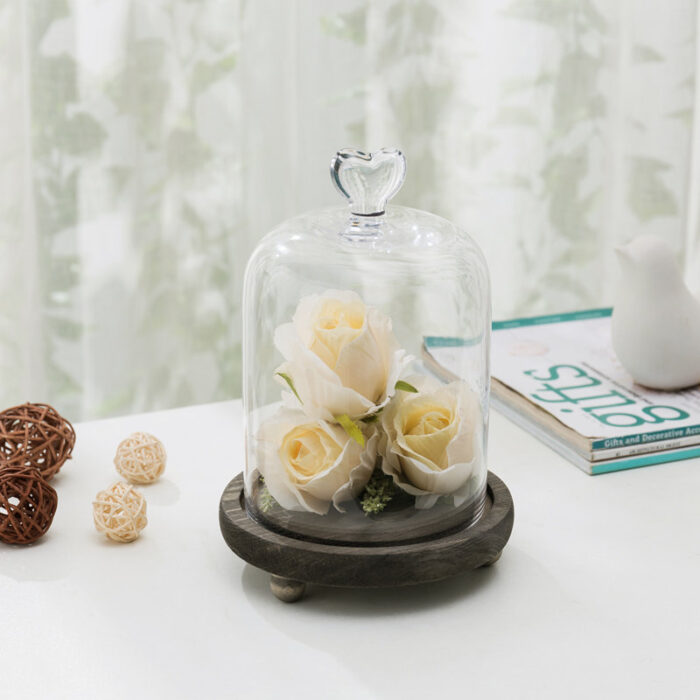 Mini Glass Dome Display Cloche - Chic Decora