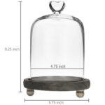 Mini Glass Dome Display Cloche - Chic Decora