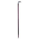 Padrone Eagle Decorative Walking Stick - Chic Decora