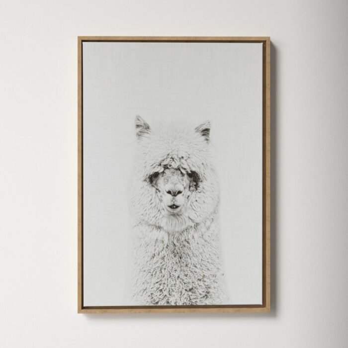 Paris ” Hairy Alpaca Black And White Portrait ” by Simon Te Tai - Chic Decora