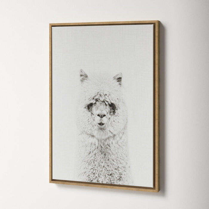 Paris ” Hairy Alpaca Black And White Portrait ” by Simon Te Tai - Chic Decora