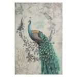 Peacock Poise Graphic Art on Wrapped Canvas - Chic Decora