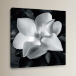 Photograph on Canvas - Chic Decora