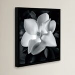 Photograph on Canvas - Chic Decora