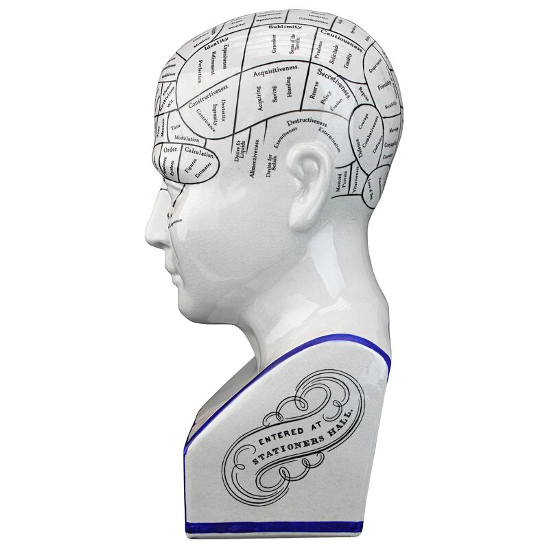 Porcelain Phrenology Head Bust - Chic Decora