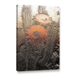 Prickley Desert Flora by Linda Parker Graphic Art on Canvas - Chic Decora