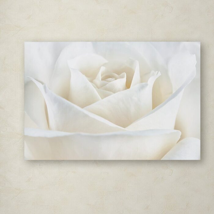 Pure White Rose Framed Photographic Print - Chic Decora