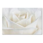 Pure White Rose Framed Photographic Print - Chic Decora