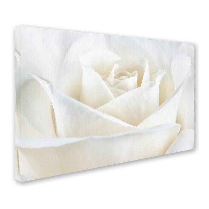 Pure White Rose Framed Photographic Print - Chic Decora