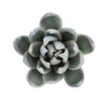 Rentas Small Light Blue Ceramic Succulent - Chic Decora