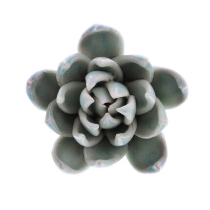 Rentas Small Light Blue Ceramic Succulent - Chic Decora