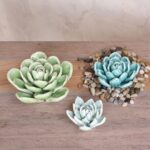 Rentas Small Light Blue Ceramic Succulent - Chic Decora