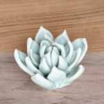 Rentas Small Light Blue Ceramic Succulent - Chic Decora