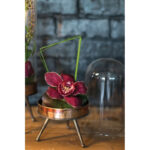 Rochanda Cloche Or Water Globe - Chic Decora