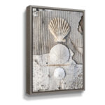 Seashells II by Elena Ray Photograph on Canvas - Chic Decora