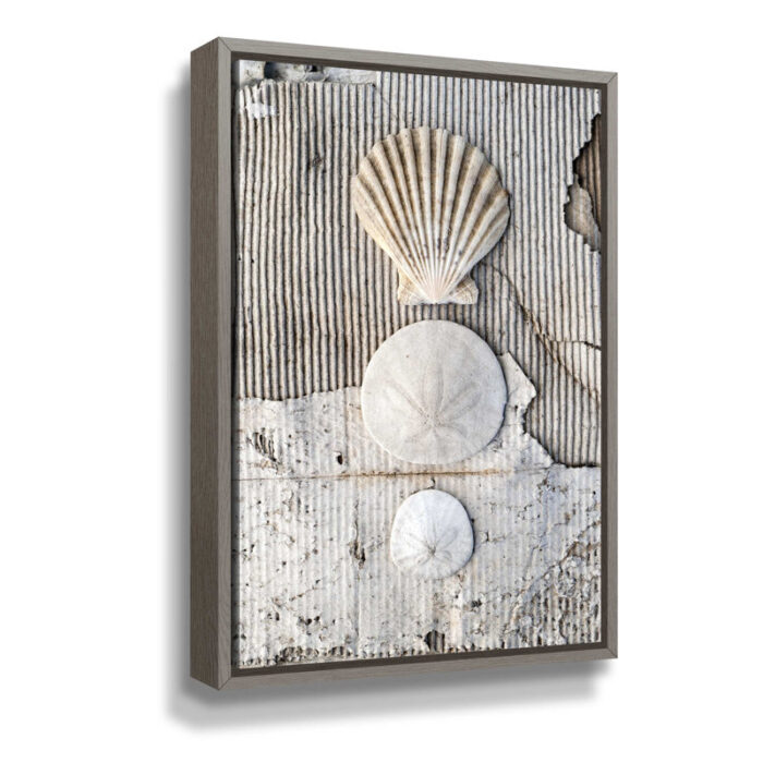 Seashells II by Elena Ray Photograph on Canvas - Chic Decora