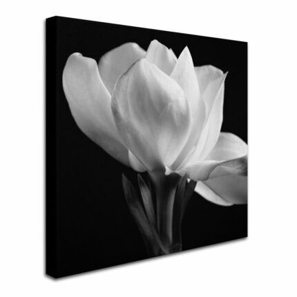 Square Photographic Print on Canvas - Chic Decora