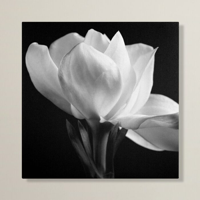 Square Photographic Print on Canvas - Chic Decora