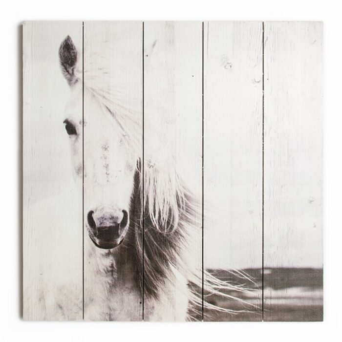 Summer 2015 Horse Photographic Print Plaque - Chic Decora