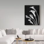 Susan S. Barmon ” Calla Lilies 3 Black And White “ - Chic Decora