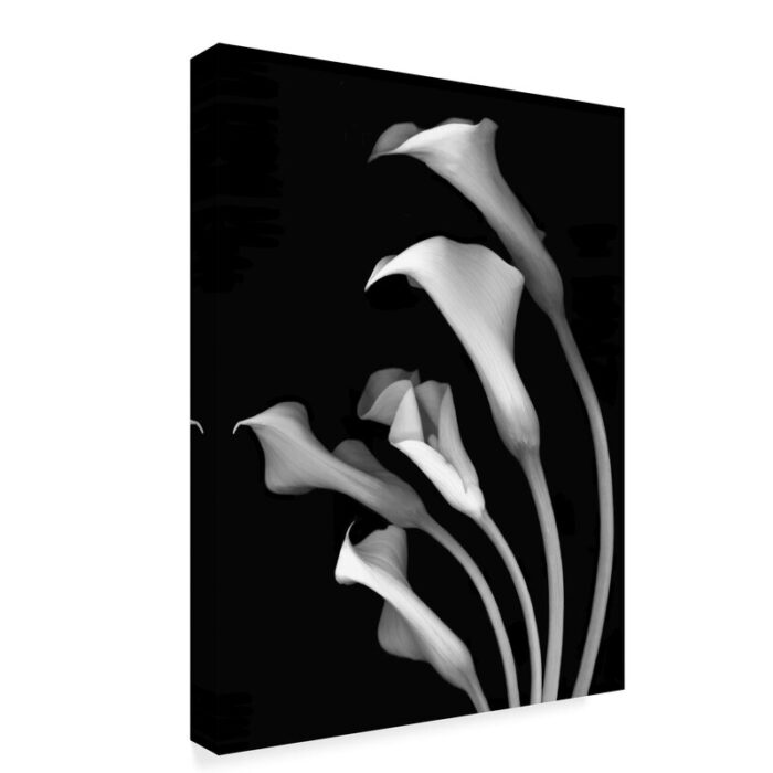 Susan S. Barmon ” Calla Lilies 3 Black And White “ - Chic Decora