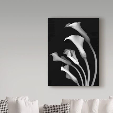 Susan S. Barmon ” Calla Lilies 3 Black And White “ - Chic Decora