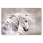 The Majestic White Stallion Canvas Print 48 x 32 x 1.5″ - Chic Decora