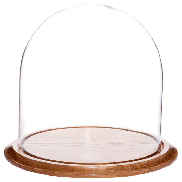 Vucciria Cloche Or Water Globe - Chic Decora