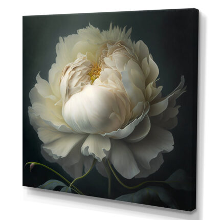 White Blossoming Peony On Black I ” White Blossoming Peony On Black I “ - Chic Decora