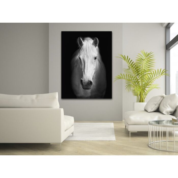 White Horse Face – Wrapped Canvas Photograph Print - Chic Decora