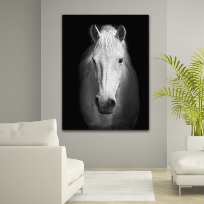 White Horse Face – Wrapped Canvas Photograph Print - Chic Decora