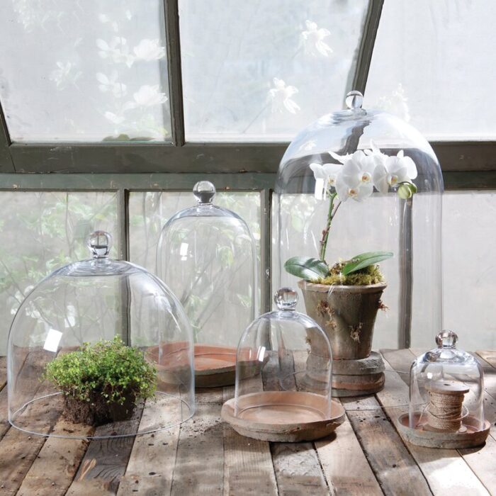 Cogburn Cloche Or Water Globe - Chic Decora