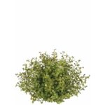 Tomeny Landscape & Nature Vase Filler - Chic Decora