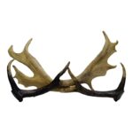 Aluminum Tabletop Antler - Chic Decora