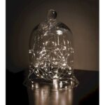 Cloche Or Water Globe - Chic Decora