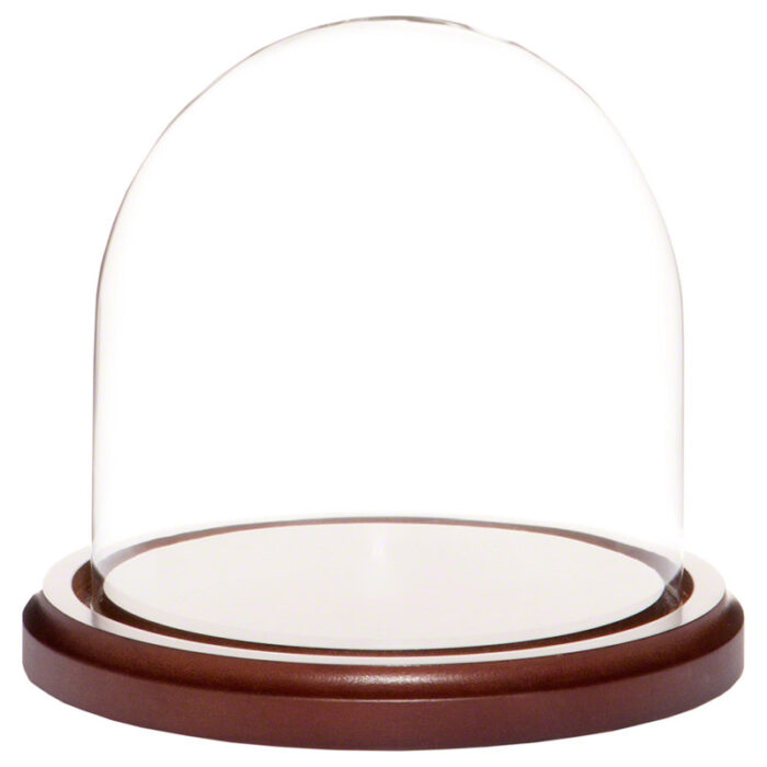 Jenett Cloche Or Water Globe - Chic Decora