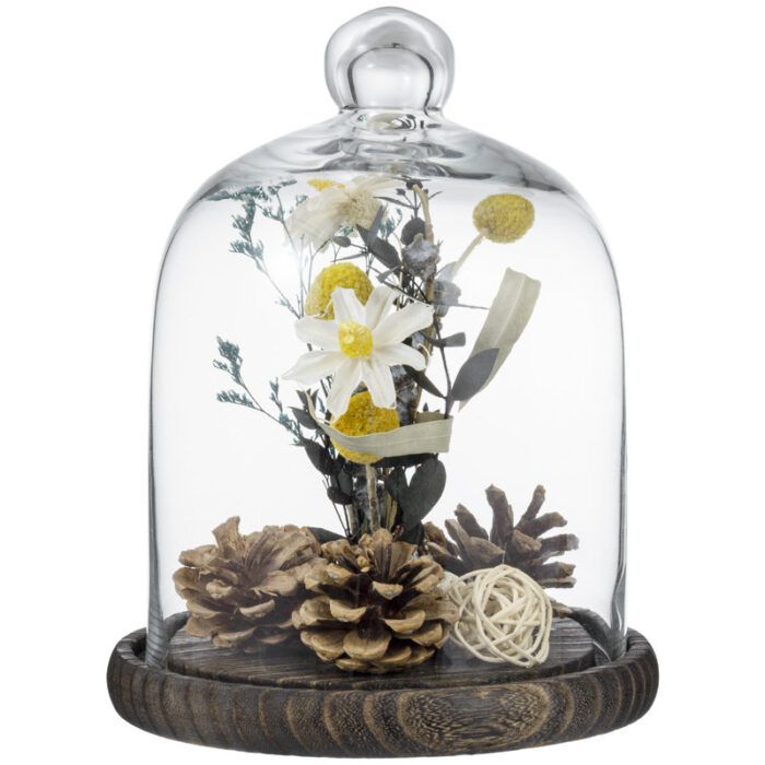 Cloche Or Water Globe - Chic Decora